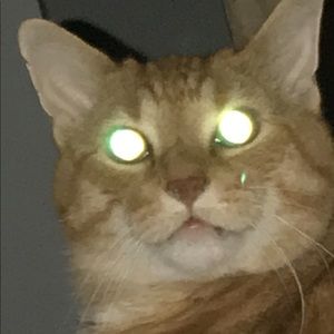 Meet your Posher, Mandi